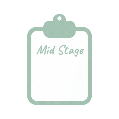 Mid Stage Dementia Products